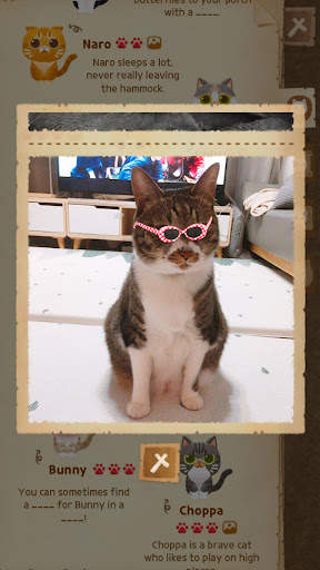 Secret Cat Forest screenshot 6