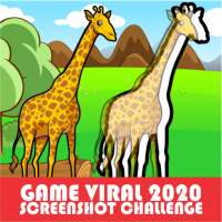Screenshot Challenge icon