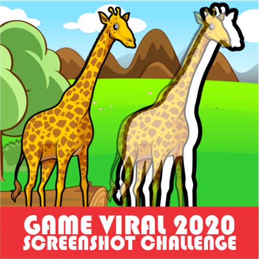 Screenshot Challenge 1.2