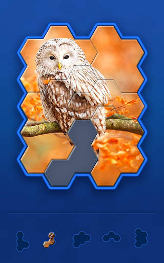 Hexa Jigsaw Challenge screenshot 2
