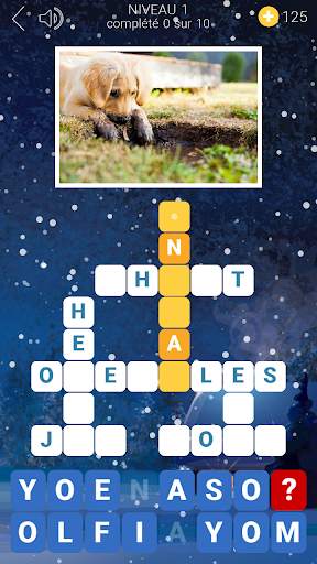 Mots Croisés des Neiges screenshot 1