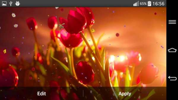 Flowers Live Wallpaper screenshot 6