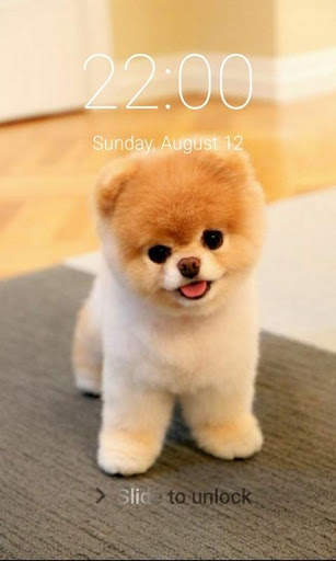 Puppy Dog Pattern Lock Screen Cute Puppy Pin Lock screenshot 1