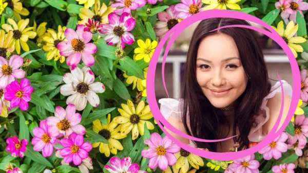 Flowers Photo Frames screenshot 4
