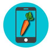 Lesson FL Studio Mobile Tutorials 2.0