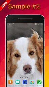 Dog Wallpaper screenshot 2
