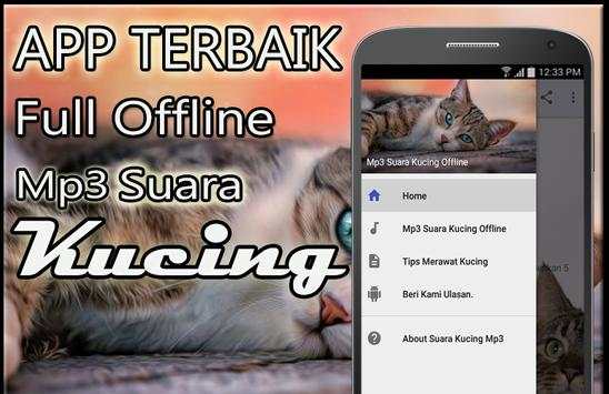 Suara Kucing Mp3 Offline screenshot 1