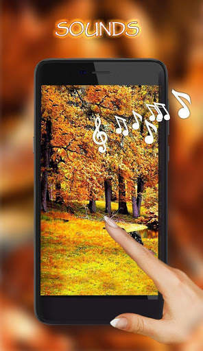 Autumn Rain live wallpaper screenshot 1