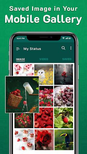 Status App - WA Status Saver screenshot 4