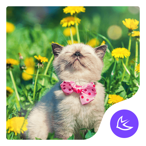 Enjoy Life-APUS Launcher theme icon