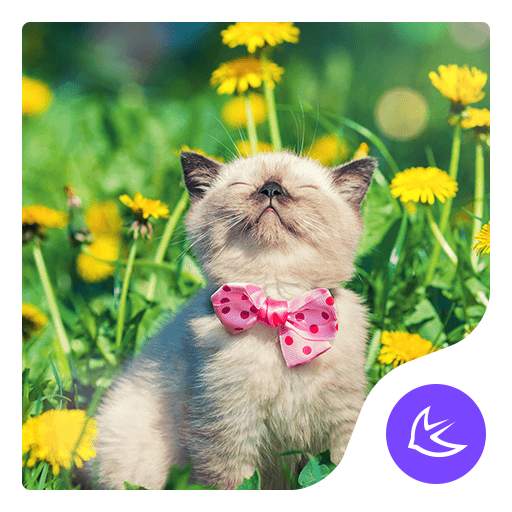 Enjoy Life-APUS Launcher theme 668.0.1001