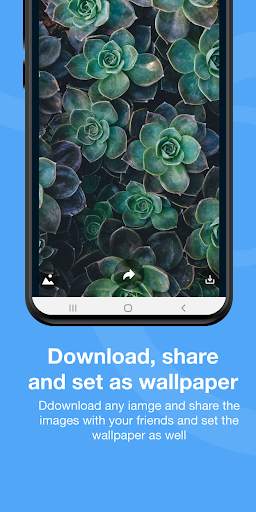 Image Search - Image Downloader - 4k Image Finder screenshot 4