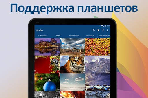 Обои и картинки от Nicefon. 20 screenshot 8