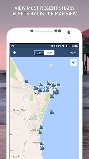 Dorsal Shark Reports screenshot 2