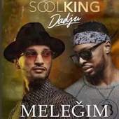Soolking - Meleğim Mp3 2020 1.0