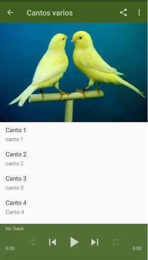 Canario Malinois Canto скриншот 3