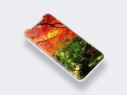 Natute Wallpaper | Nature Wallpapers HD 4K screenshot 2