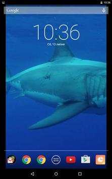 Dangerous Shark Video Live Wallpaper screenshot 2