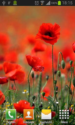 Poppies live wallpaper screenshot 2