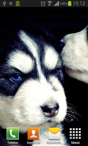 Puppies dogs live wallpaper screenshot 2