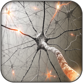 Multiple Sclerosis EDSS Trackr icon