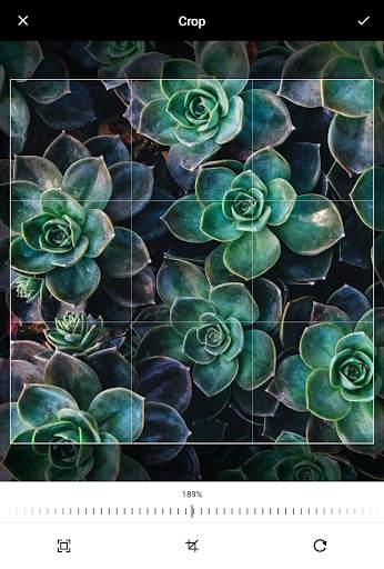 Grafo Photo Studio screenshot 8