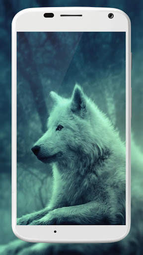 Wolf Wallpaper screenshot 7