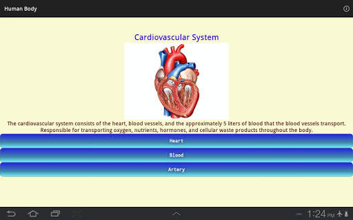Human Body - Anatomy screenshot 11
