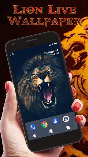 Wild Lion Live Wallpaper screenshot 3