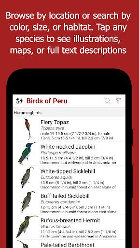 Birds of Peru screenshot 2
