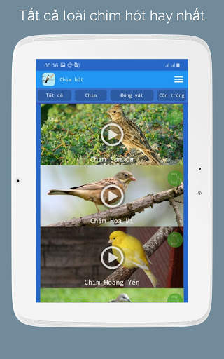 Tiếng Chim Hót screenshot 10