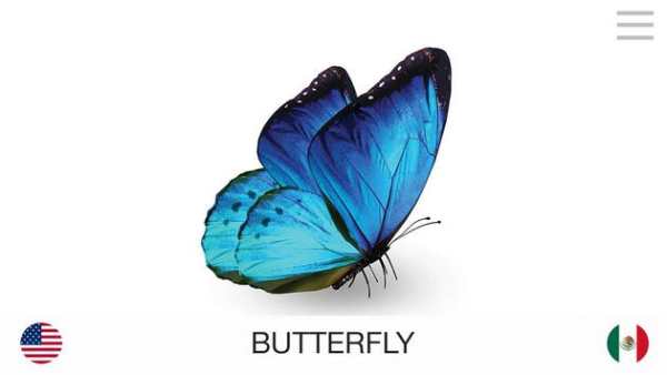 Lyrebird: Learn ENGLISH screenshot 2