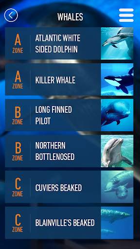 Whales of Iceland Audio Guide! screenshot 3