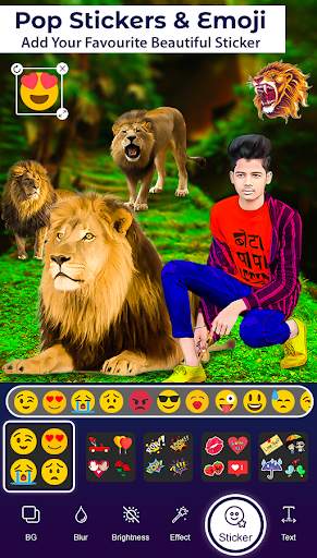 Lion Photo Editor screenshot 7