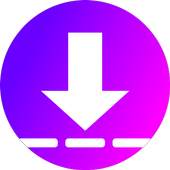 Instant Story Downloader 1.1.0