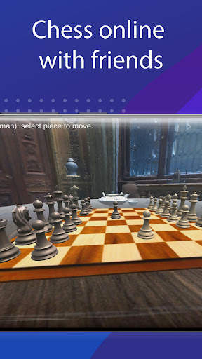 3D Chess Game Online – Chess B screenshot 10