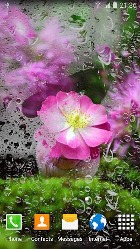 Cherry Blossom Live Wallpaper screenshot 4