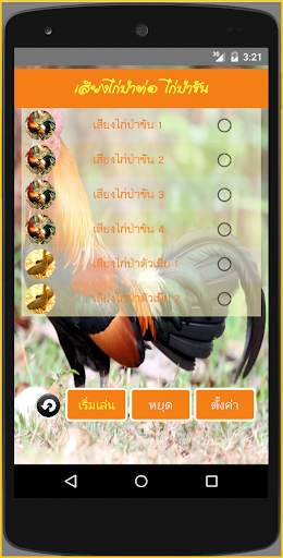 เสียงไก่ป่าต่อ ไก่ป่าขัน screenshot 2