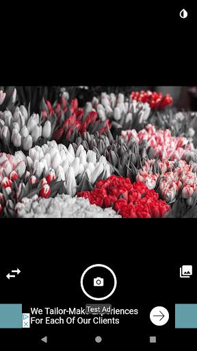 Splash Color Camera Selector screenshot 4