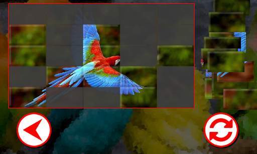 Birds Puzzles screenshot 2