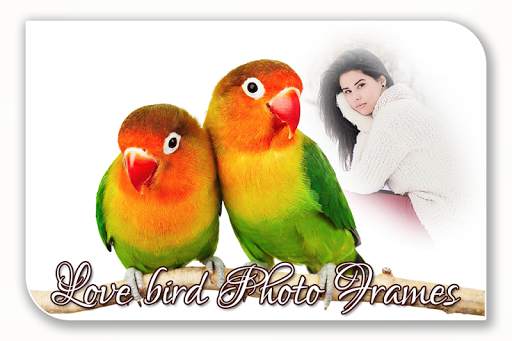 Love Birds Photo Frame screenshot 1