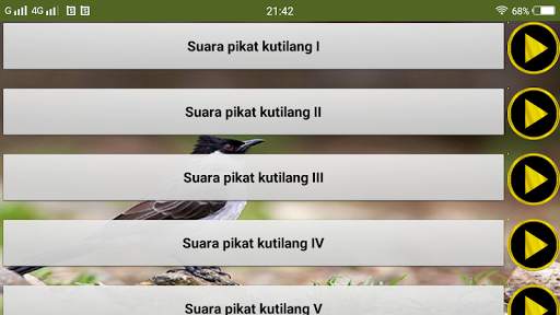 Suara pikat burung kutilang screenshot 4