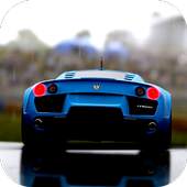 Real Driving Experience 1.0