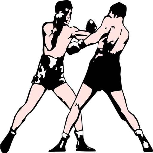 GGG VS icon