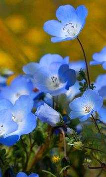Flowers Wild HD live wallpaper screenshot 1