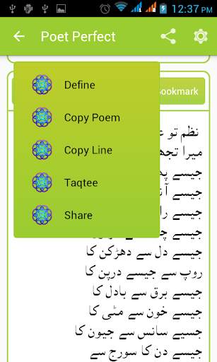 Poet Perfect Free Urdu Poetry screenshot 5