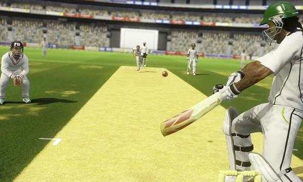 Cricket 2019 screenshot 3