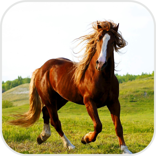 Running Horse Free LWP icon
