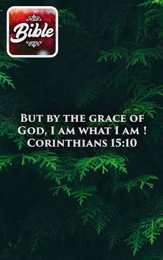 Women Study Bible KJV offline screenshot 7