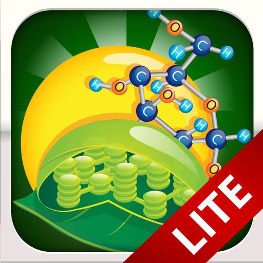 Biology Photosynthesis 2.55